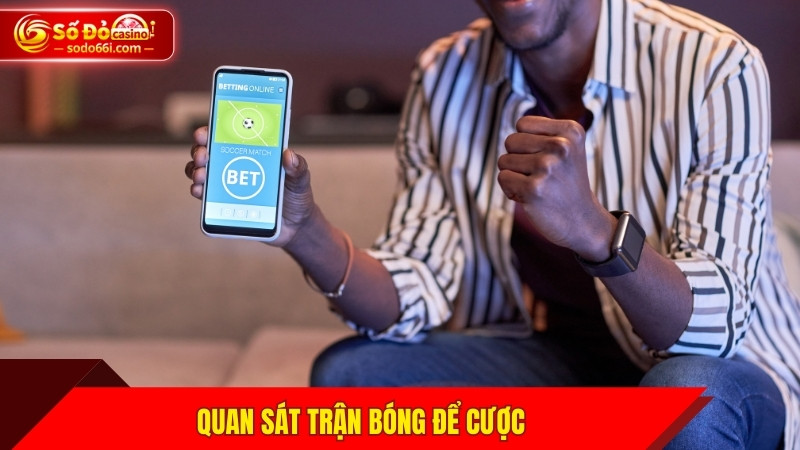 Quan sát trận bóng để cược